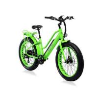 Bicicletta Bad Bike EVO FAT Folding eBike Green Flou 250W
