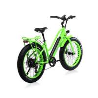 Bicicletta Bad Bike EVO FAT Folding eBike Green Flou 250W