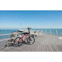 Bicicletta Velomarche MTB MOONSTER 29&rdquo; VM 129 Red Matt
